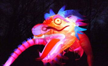 Tollwood-Zeit - mit Frieden, Feuer, Musik und Drachen