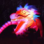 Jetzt aber schnell – das letzte Tollwood-Wochenende Jetzt aber schnell - das letzte Tollwood-Wochenende