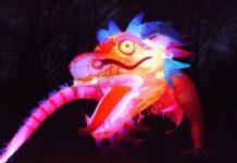 Jetzt aber schnell – das letzte Tollwood-Wochenende Jetzt aber schnell - das letzte Tollwood-Wochenende