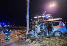 Pkw prallt gegen Baum