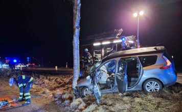 Pkw prallt gegen Baum