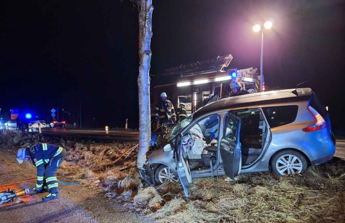 Pkw prallt gegen Baum