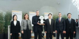 Die Sensation ist perfekt: Große Pandas für den Münchner Tierpark Hellabrunn
