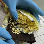 Flughafen München: Zoll entdeckt Goldschmuck in Instant Nudeln Flughafen München: Zoll entdeckt Goldschmuck in Instant Nudeln