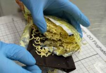 Flughafen München: Zoll entdeckt Goldschmuck in Instant Nudeln