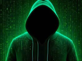 Tatverdächtiger nach organisiertem Cybertradingbetrug festgenommen