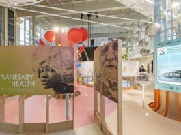 „Planetary Health“ - die neue Sonderausstellung im Deutschen Museum