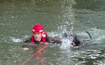 Vier Pfoten auf Abwegen - Feuerwehr rettet Hund aus Isar