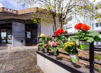Taufkirchen zum Blühen bringen: Frühlingsaktion mit 100 Blumen zum Mitnehmen