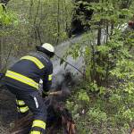 Feuer in der Aubinger Lohe dank Drohne schnell gelöscht