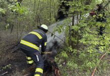 Feuer in der Aubinger Lohe dank Drohne schnell gelöscht