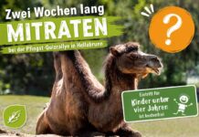 Pfingstferien in Hellabrunn - Zwei Wochen lang mitraten bei der Pfingst-Quizrallye