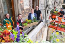 Der Sommer blüht in der Stadt – auch am Rathaus Der Sommer blüht in der Stadt - auch am Rathaus