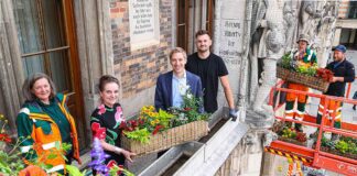 Der Sommer blüht in der Stadt - auch am Rathaus