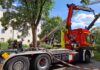 20 Meter hoher Baum stürzt auf Haus - keine Verletzten