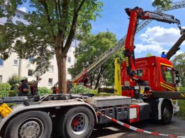 20 Meter hoher Baum stürzt auf Haus - keine Verletzten