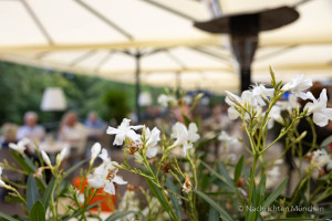 Biergarten Hinterbrühl