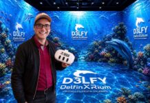 Weltneuheit DelfinXRium virtuelles Delfin Erlebnis