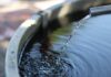 Stadt München wird Allgemeinverfügung zur Wassernutzung nicht verlängern