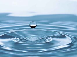 Stadt München erlässt Allgemeinverfügung zur Wassernutzung