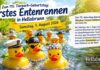 Veranstaltungstipp: Zum 115. Tierpark-Geburtstag: Erstes Entenrennen in Hellabrunn