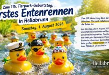 Veranstaltungstipp: Zum 115. Tierpark-Geburtstag: Erstes Entenrennen in Hellabrunn Veranstaltungstipp: Zum 115. Tierpark-Geburtstag: Erstes Entenrennen in Hellabrunn