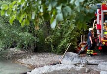 Freiwillige Feuerwehr rettet Fische in nahezu ausgetrocknetem Weiher