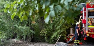 Freiwillige Feuerwehr rettet Fische in nahezu ausgetrocknetem Weiher