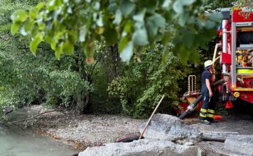 Freiwillige Feuerwehr rettet Fische in nahezu ausgetrocknetem Weiher