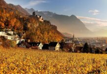 Liechtenstein im Herbst entdecken: Zwischen alpinen Höhenwegen, Kunst, Kultur und Genuss