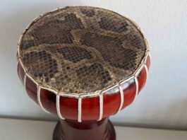 Zoll warnt vor dem Kauf von Souvenirs aus geschützten Tierarten - Trommel mit Pythonleder beschlagnahmt