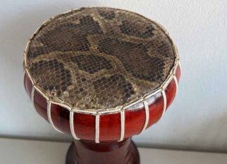 Zoll warnt vor dem Kauf von Souvenirs aus geschützten Tierarten - Trommel mit Pythonleder beschlagnahmt