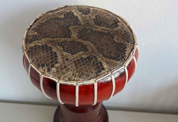 Zoll warnt vor dem Kauf von Souvenirs aus geschützten Tierarten - Trommel mit Pythonleder beschlagnahmt